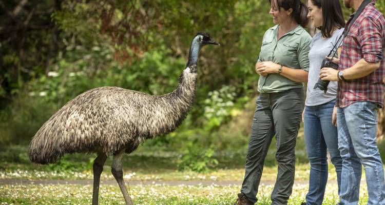 3 Day Melbourne to Adelaide Overland Adventure Tour (Accommodated) - Autopia Tours 3