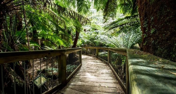 3 Day Melbourne to Adelaide Overland Adventure Tour (Accommodated) - Autopia Tours 10