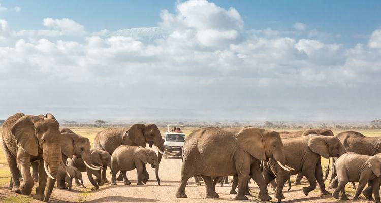 Cape Town, Kenya & Zanzibar: Safari Nights to Island Vibes - journaway DACH 4