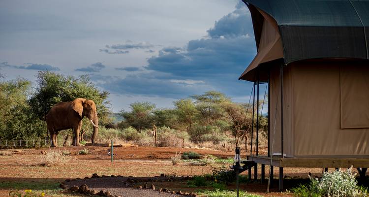 Cape Town, Kenya & Zanzibar: Safari Nights to Island Vibes - journaway DACH 10