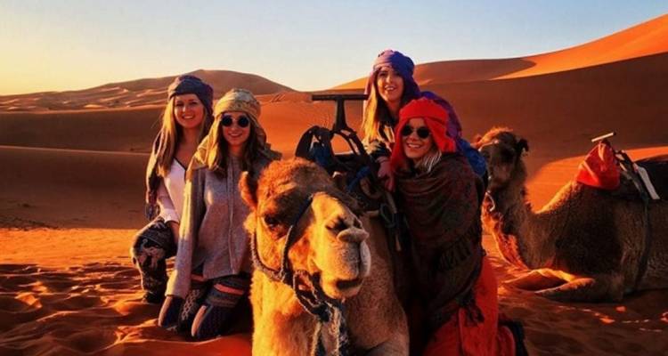 Group with camels in the desert during sunset.