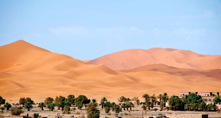 Desert landscape with sand dunes and palm trees.