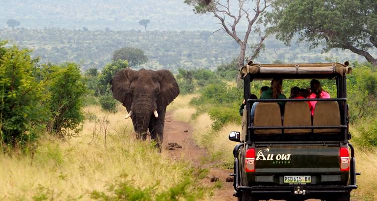 Way Changer Reise Südafrika - Be(come) your own hero - wayers 4