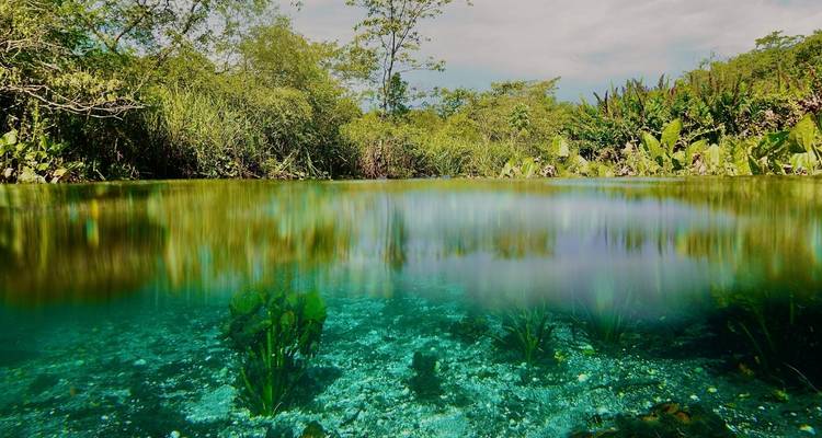 Aventure écologique Bonito et Pantanal (7 jours) - Hi Travel Argentina 6