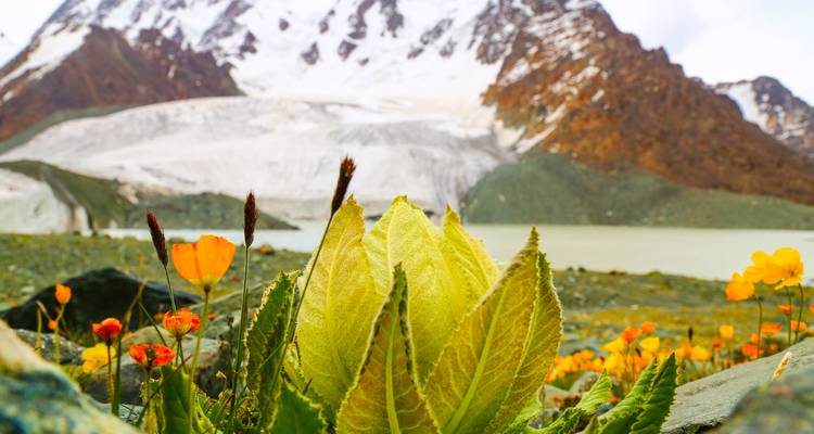 Bogda Peak Trek- Epic 7-Day Xinjiang Hiking Tour with Expert Guides - Doufeng Adventure 6