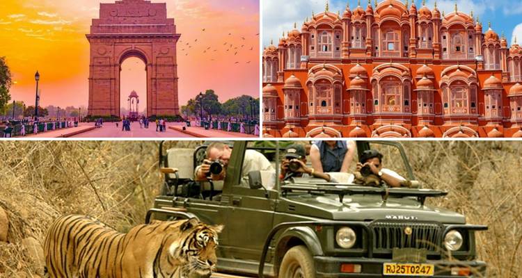 8-Day Golden Triangle Heritage Tour with Taj Mahal, Jaipur Palaces & Ranthambore Wildlife Safari - SafeHands Travels 5