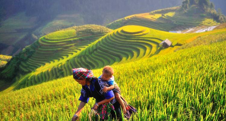 Uncharted Vietnam of Exploration & Experience 10 Days/9 nights - Bee Gng International Joint Stock Company 5
