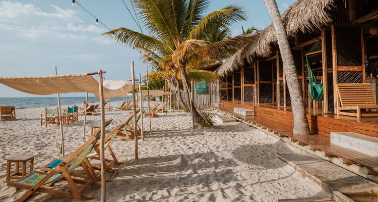 Tropical beach setting with palm trees and seating areas.