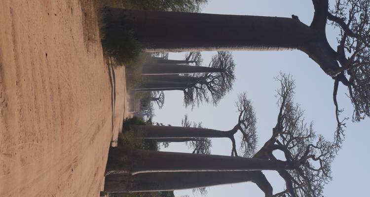 17 JOURS D'EST EN OUEST, JUSQU'AU RN7 - Sifaka Voyages 1