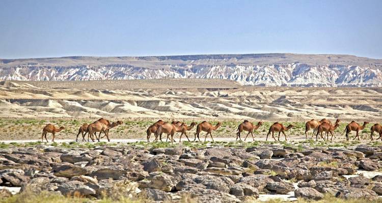 Great Silk Road Part 2+3 - DIAMIR Erlebnisreisen 4