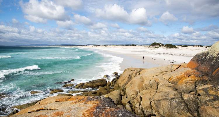 Highlights of Tasmania's East Coast - DIAMIR Erlebnisreisen 1