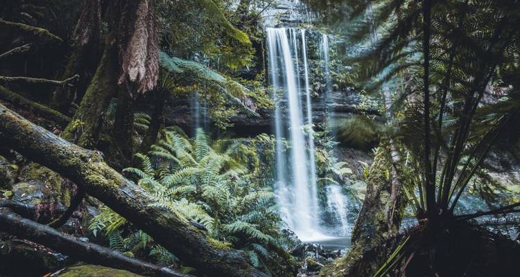 Highlights of Tasmania's East Coast - DIAMIR Erlebnisreisen 3