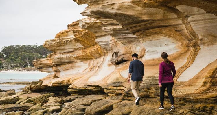 Highlights of Tasmania's East Coast - DIAMIR Erlebnisreisen 4