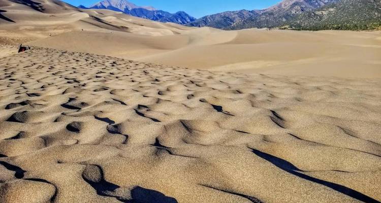 Endlose wellige Sanddünen erstrecken sich unter einem klaren blauen Himmel bis zu fernen Bergen.