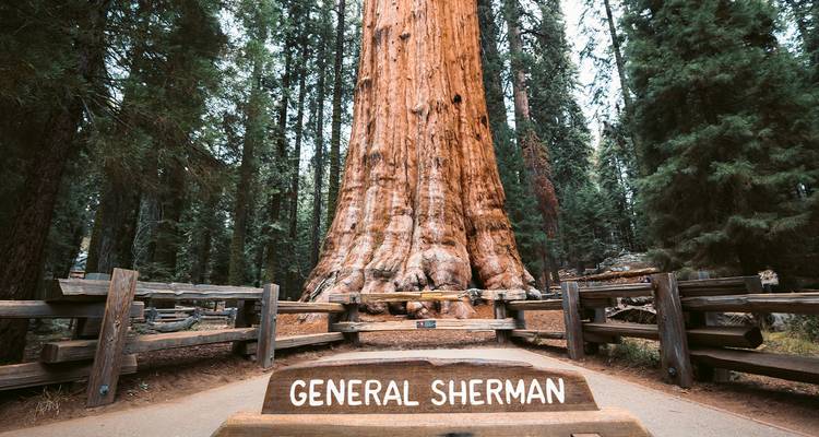 Exploration de la Californie sauvage - 8 jours - On The Go Tours 2