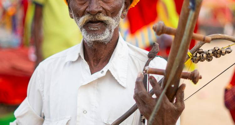 Indian wildlife safari with puhkar fair - Vijay India Tours 2