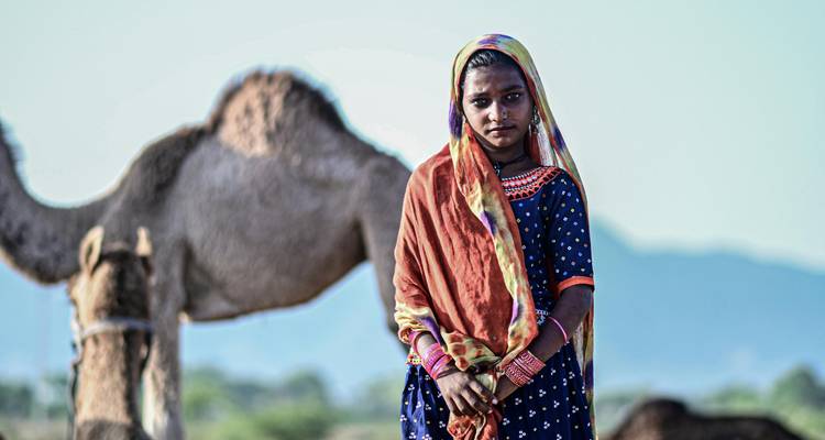 Indian wildlife safari with puhkar fair - Vijay India Tours 3