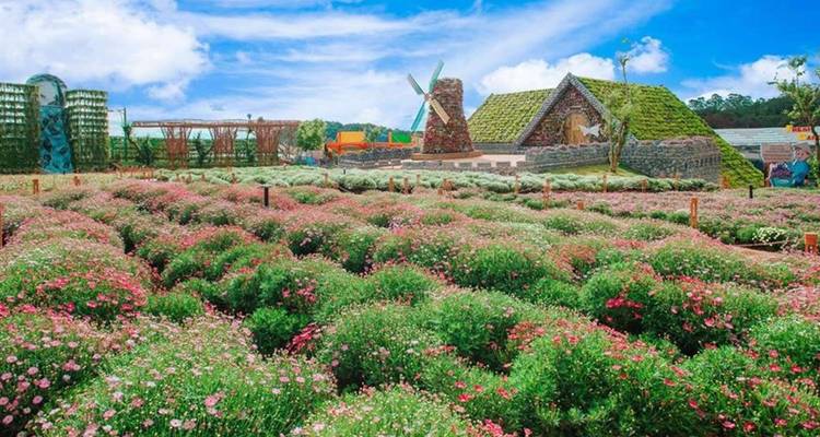 Vietnam Southern Adventure 3 Day 2 Night Exploring Da Lat- Khanh Le Pass- Bao Dai palace- Flower Garden & Crazy House- Xuan Huong Lake - Go Asia Travel 1