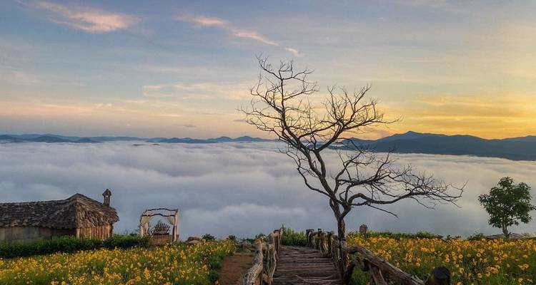 Vietnam Southern Adventure 3 Day 2 Night Exploring Da Lat- Khanh Le Pass- Bao Dai palace- Flower Garden & Crazy House- Xuan Huong Lake - Go Asia Travel 6