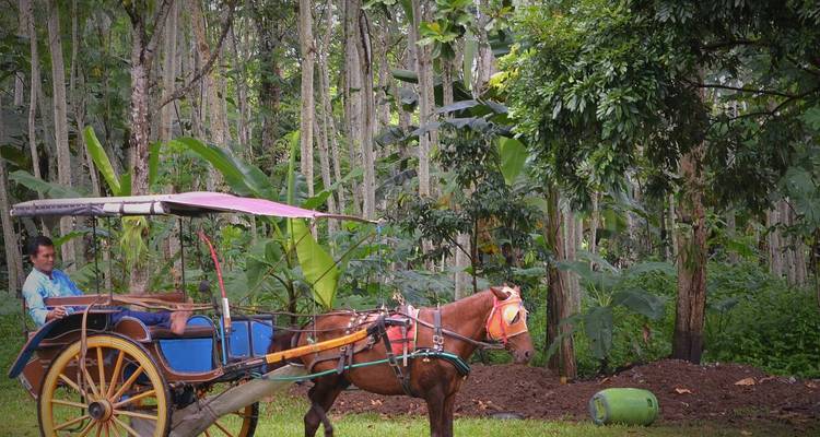 Vietnam Southern Adventure 3 Day 2 Night Exploring Da Lat- Khanh Le Pass- Bao Dai palace- Flower Garden & Crazy House- Xuan Huong Lake - Go Asia Travel 9