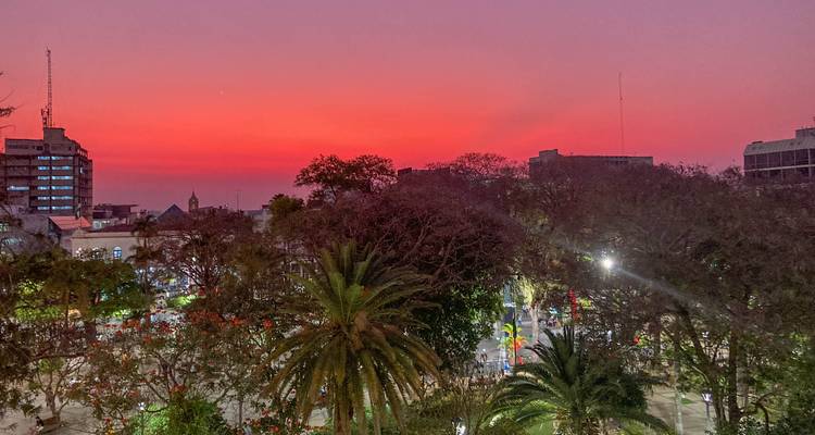 Parc urbain avec des arbres et ciel de coucher de soleil.