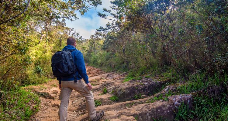 Backpacker die een ruw bospad beklimt omgeven door dichte begroeiing en rotsen.