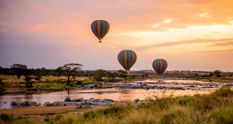 Safari de 4 jours sur le circuit nord (Tarangire - Serengeti - Cratère du Ngorongoro) - African Breeze Safaris 1