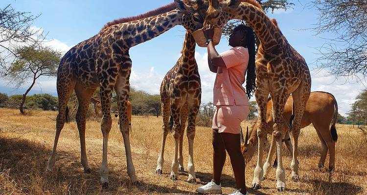 SERVAL WILDLIFE PARK - Johnadventures 3