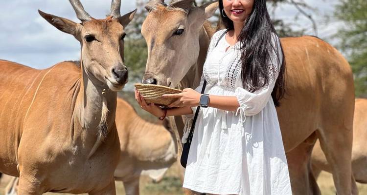 SERVAL WILDLIFE PARK - Johnadventures 2