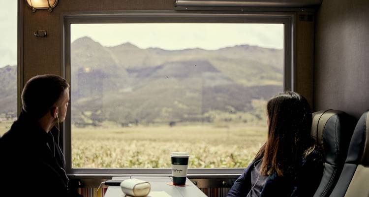 Deux personnes regardant un paysage montagneux depuis un train.