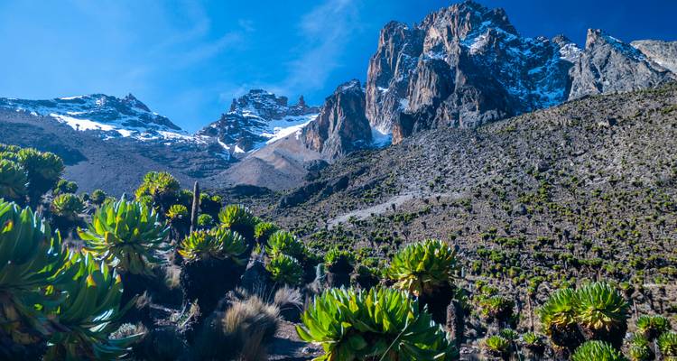 MT KENYA TREKKING 6 DAYS VIA SIRIMON TO CHOGORIA - Johnadventures 9