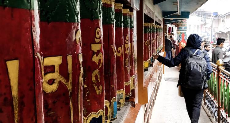 "Du Temple d'Or aux sentiers de l'Himalaya : Voyage culturel de 8 jours" - SafeHands Travels 4