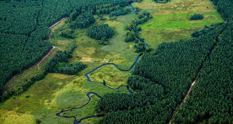 Sangha River Expedition – 5 Days / 4 Nights - Across Africa Tours & Travel 4