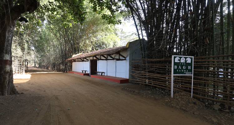 Emerald Triangle & Land of Jungle Book - Antara Cruises 2