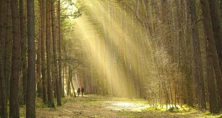 BaAka Forest Life & Music - 5 Días / 4 Noches - Across Africa Tours & Travel 4