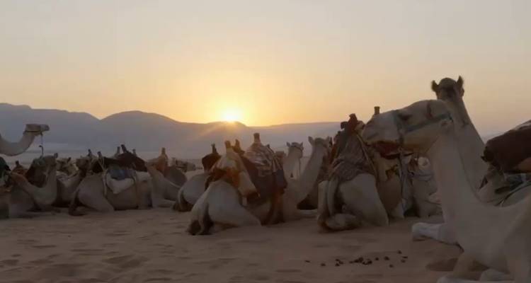 Explorez la Mauritanie en 3 jours - Across Africa Tours & Travel 4