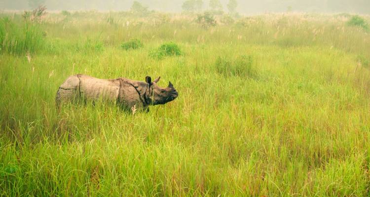 Sentiers de luxe au Népal - Golden Triangle India Tours 2