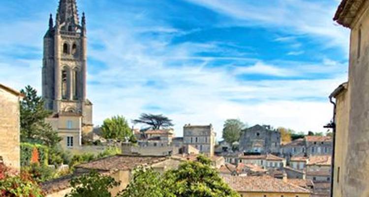 Oenological cruise: At the heart of a prestigious wine region (port-to-port cruise) - CroisiEurope River Cruises 4