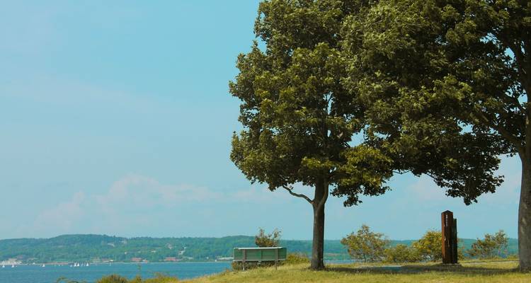 Parc tranquille avec un banc solitaire sous des arbres feuillus donnant sur une baie calme et des collines lointaines.