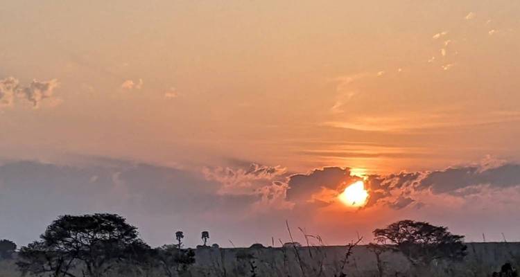 Gorilla Trekking starting in Uganda and ending in Rwanda / 4 Day - World Skyway  2