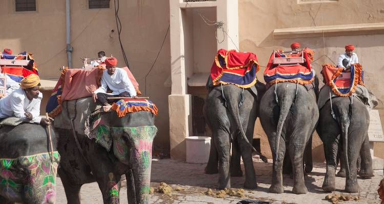 Geschmückte Elefanten mit Menschen in traditioneller Kleidung.
