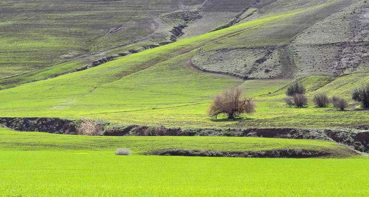 Explore the magic of Southern Algeria in 5 days - Across Africa Tours & Travel 1