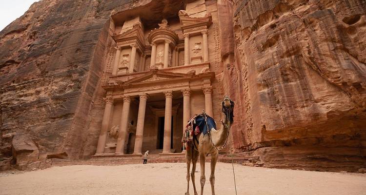 Camel stands before the ornate rock-carved facade of Petra's Treasury.