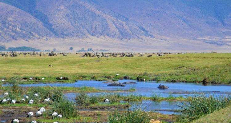 SAFARI D'UNE JOURNÉE DANS LE CRATÈRE DU NGORONGORO - Johnadventures 7