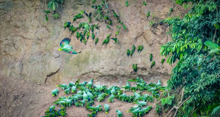 Expedición al Parque Nacional Yasuni - Authentic Ecuador 4