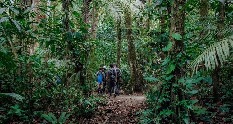 Expedición al Parque Nacional Yasuni - Authentic Ecuador 6