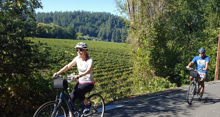 5 day California Coastlines and Vineyards, Waves and Wine small group tour - Bindlestiff Tours 1