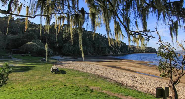 5 day California Coastlines and Vineyards, Waves and Wine small group tour - Bindlestiff Tours 3