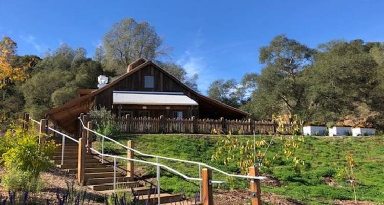 5 day California Coastlines and Vineyards, Waves and Wine small group tour - Bindlestiff Tours 10