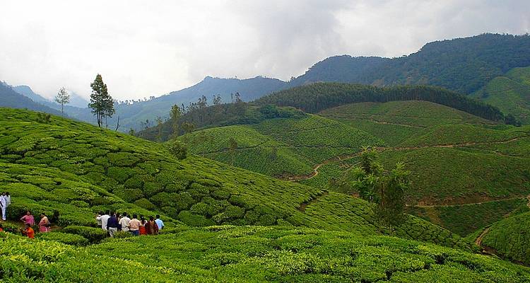 South India Trails - Golden Triangle India Tours 8
